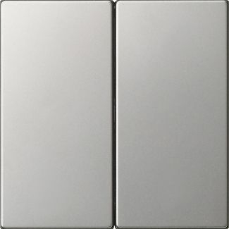 Gira 5370600 Wippe 2-fach unbedruckt, System 55, Edelstahl