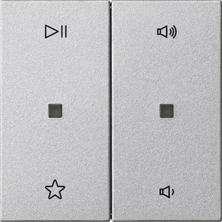 Gira 538426 Wippe 2-fach Audiosteuerung, System 55, Farbe Alu
