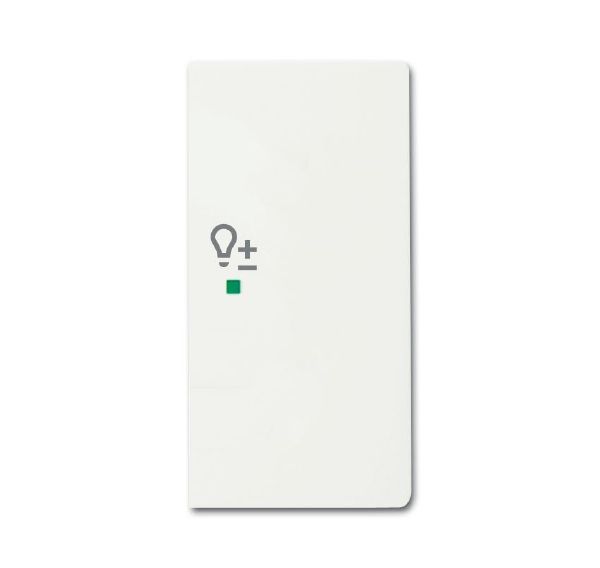 Busch-Jaeger 6234-22-884 Wippe 2-fach rechts mit Symbol Dimmer