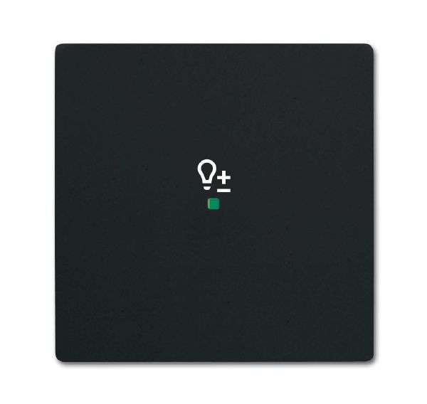 Busch-Jaeger 6234-10-885 Wippe 1-fach mit Symbol Dimmer