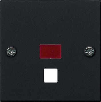 Gira 0638005 Abdeckung Kontrollfenster gro脽 Zugschalter/-taster, System 55, schwarz matt