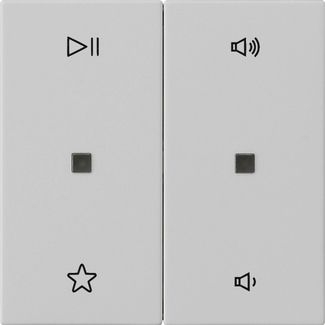 Gira 5384015 Wippe 2-fach Audiosteuerung, System 55, grau matt