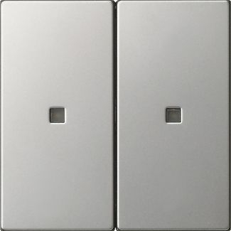 Gira 5369600 Wippe 2-fach unbedruckt Kontrollfenster, System 55, Edelstahl