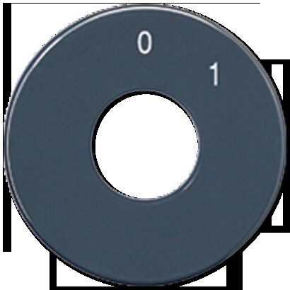 Jung SKS1101-20 Skalenscheibe, Symbole 0 I, anthrazit