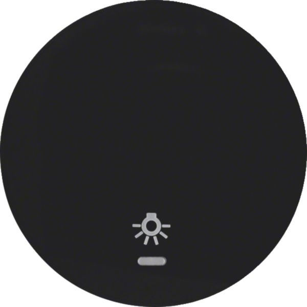 Hager WLW1332BG Wippe 1-fach mit klarer Linse und Aufdruck Symbol Licht, R.Classic, schwarz glänzend