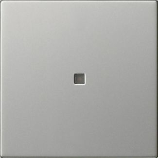 Gira 5371600 Wippe 1-fach unbedruckt Kontrollfenster, System 55, Edelstahl