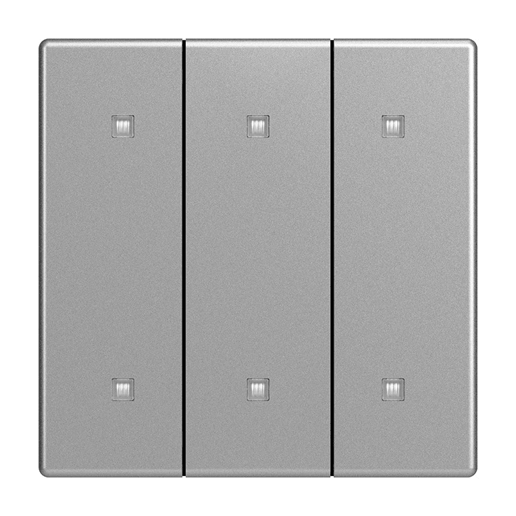 Busch-Jaeger 2570-30-83 Wippe 3-fach für Elektroniktaster mit transparenten Kalotten, aluminium silber matt