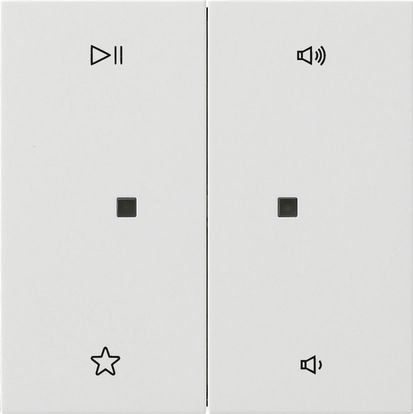 Gira 5384112 Wippe 2-fach Audiosteuerung, Flächenschalter, reinweiß