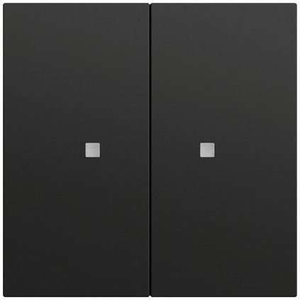 Gira 536974 Wippe 2-fach unbedruckt mit Kontrollfenster, System 70, schwarz matt (lackiert)