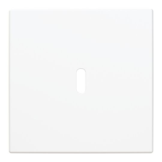 Busch-Jaeger 6479-914 Zentralscheibe für USB Ladestation 1-fach mit USB-C-Anschluss, Busch-balance SI, alpinweiß glänzend