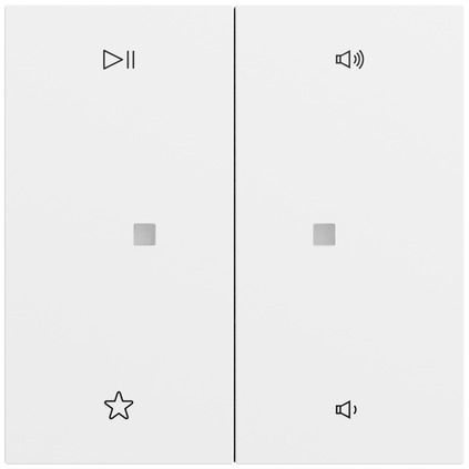 Gira 538472 Wippe 2-fach Audiosteuerung, System 70, reinweiß seidenmatt (lackiert)