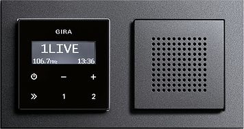 Gira 228228 Lautsprecher für Unterputz-Radio, System 55, anthrazit