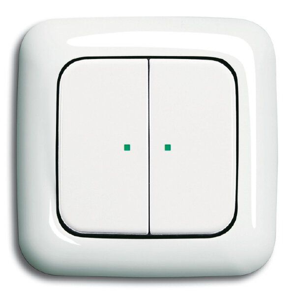 Busch-Jaeger 6230-20-214 Wippe 2-fach links/rechts ohne Bedruckung