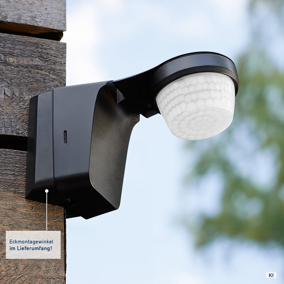 Theben 1010511 theLuxa S360 BK Bewegungsmelder 360° für Wandmontage, IP55, schwarz