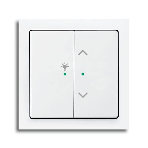 Busch-Jaeger 6232-20-84 Wippe 2-fach links/rechts Symbol Jalousie