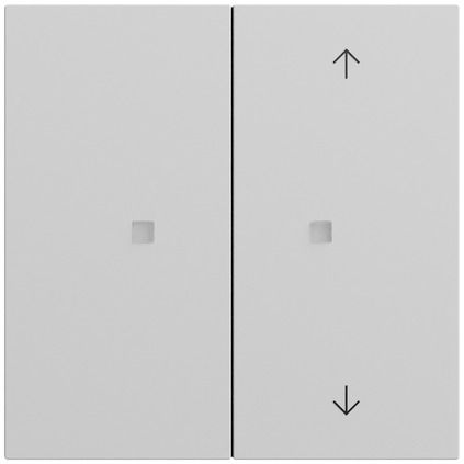Gira 517576 Taster mit Wippe 2-fach unbedruckt / Pfeilsymbole für Gira One und KNX, System 70, grau matt (lackiert)