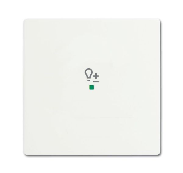 Busch-Jaeger 6234-10-884 Wippe 1-fach mit Symbol Dimmer