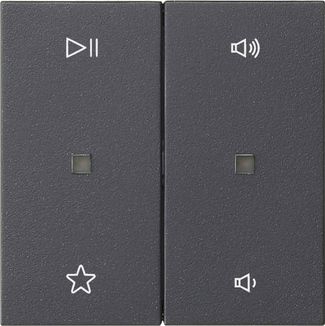 Gira 538428 Wippe 2-fach Audiosteuerung, System 55, anthrazit