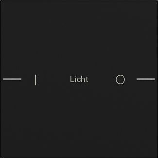 Gira 5761005 Wippenset 1-fach individuell Tastsensor 4.55, Schwarz matt