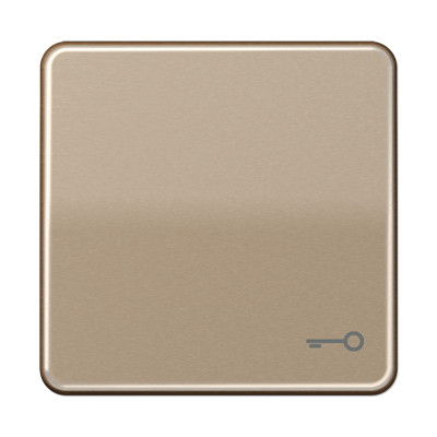 Jung CD590TGB Wippe, Symbol Tür, Aluminium eloxiert, Serie CD, gold-bronze