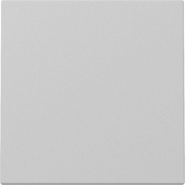 Gira 3296015 Wippe, System 55, grau matt