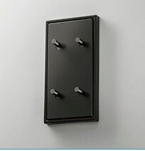 Jung AL12-25DK01 Abdeckung mit Kipphebel "Kegel", 2 x 2 Kipphebel, senkrecht, Serie LS 1912, dark (lackiertes Aluminium)