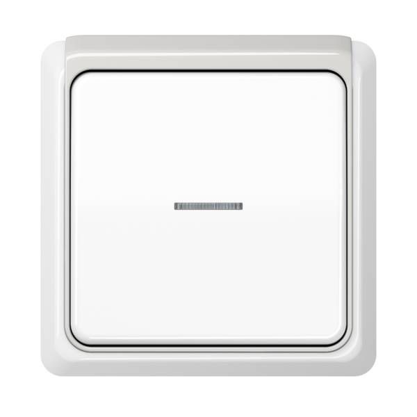 Jung CDP82LG Applikations-Segment, CD PLUS, lichtgrau