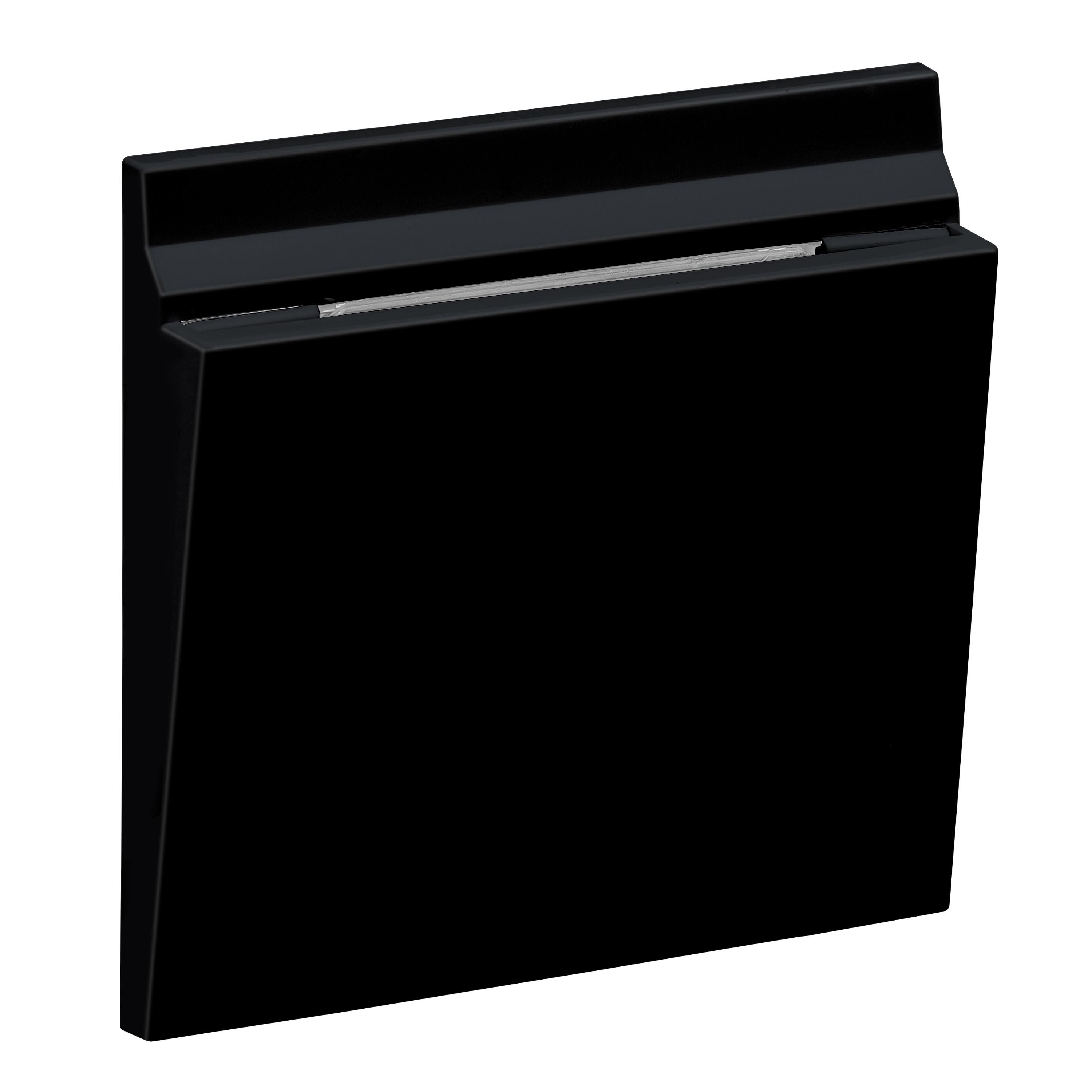 Legrand 765343 SEANO Abdeckung für mechanischen Hotel-Card-Schalter, schwarz lackiert