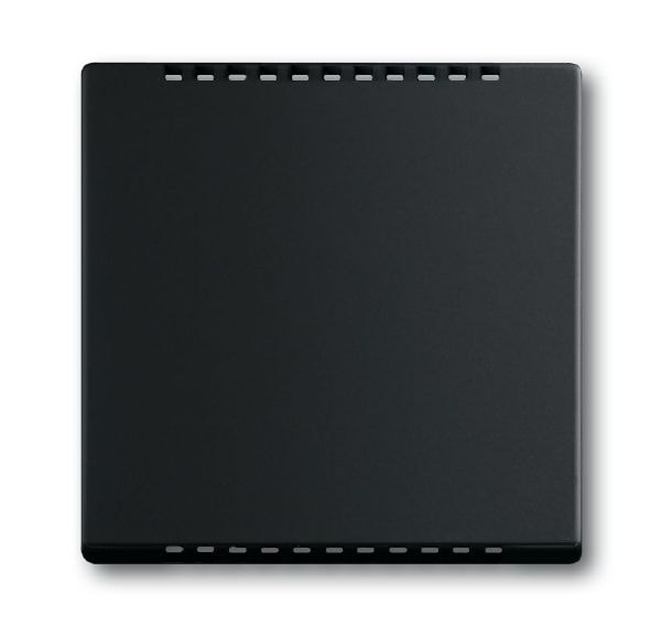 Busch-Jaeger 6541-885 Zentralscheibe für Kühlteil für Unterputz-Drehdimmer, schwarz matt, Plattform 63