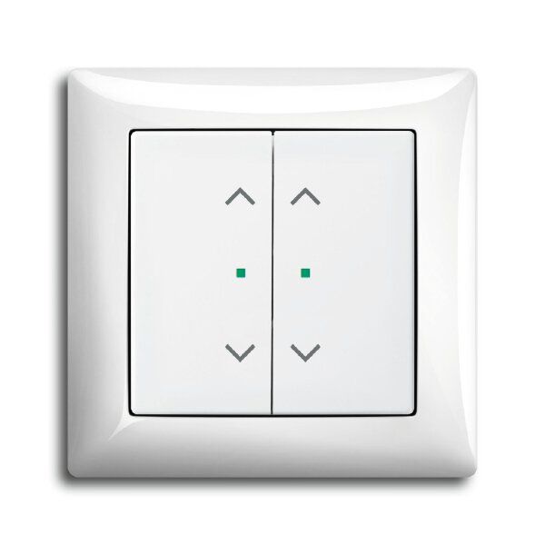 Busch-Jaeger 6232-20-914 Wippe 2-fach links/rechts Symbol Jalousie