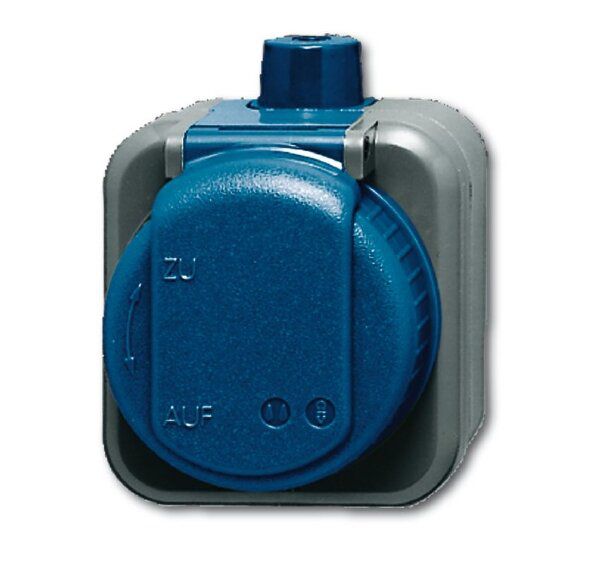 Busch-Jaeger Duro 2000 WDI IP66 grau blau | elektroland24
