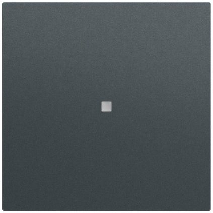 Gira 536873 System 3000 Bedienaufsatz BT, System 70, anthrazit (lackiert)