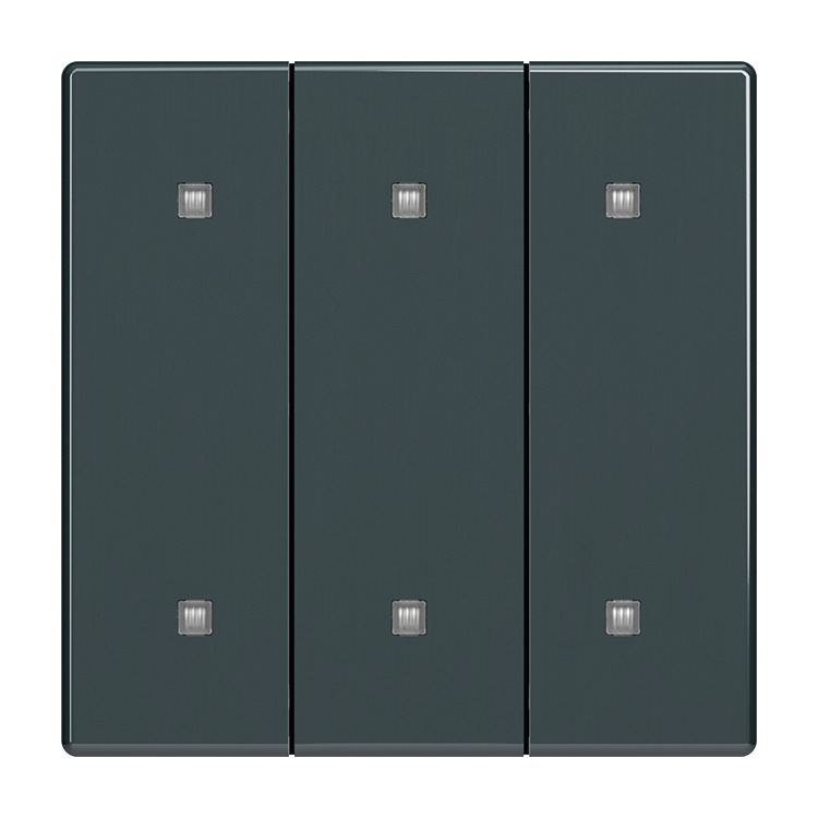 Busch-Jaeger 2570-30-81 Wippe 3-fach für Elektroniktaster mit transparenten Kalotten  , anthrazit glänzend