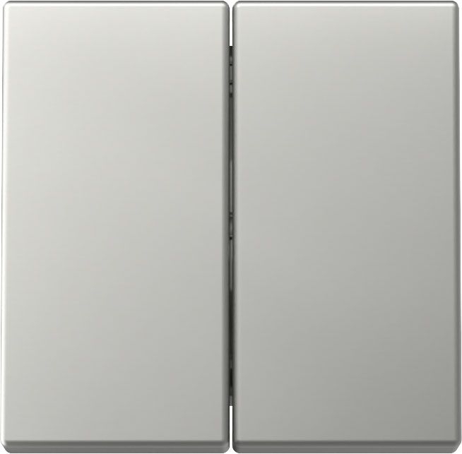 Gira 3295600 Wippe 2-fach, System 55, Edelstahl
