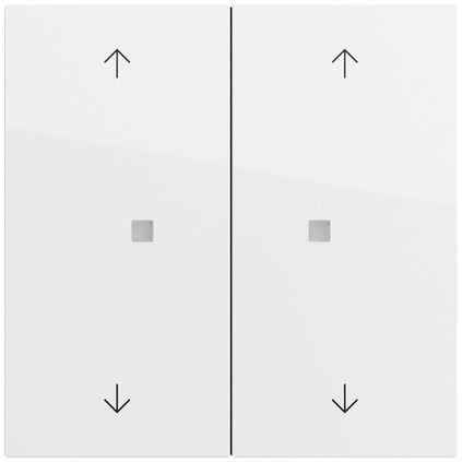 Gira 538670 Wippe 2-fach mit Pfeilsymbolen und Kontrollfenster, System 70, reinweiß glänzend