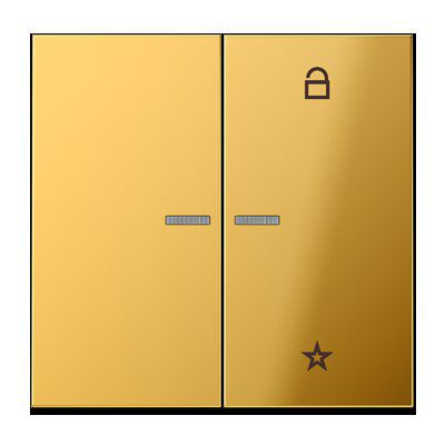 Jung FMGO1701 eNet Taster Universal 1-fach, Metall goldfarben PVD-beschichtet, Serie LS, goldfarben