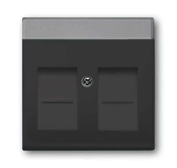 Busch-Jaeger 1800-81  Zentralscheibe Modular Jack, 2-fach, mit Beschriftungsfeld, mit 2 Öffnungsschiebern, anthrazit glänzend, Plattform 63