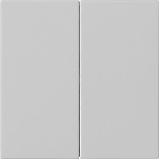 Gira 5370015 Wippe 2-fach unbedruckt, System 55, grau matt