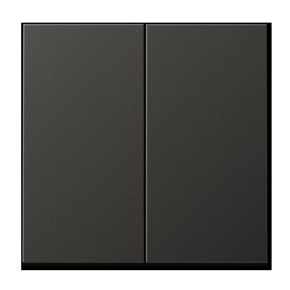 Jung AL2995AN Wippe, Aluminium lackiert, Serie LS, anthrazit