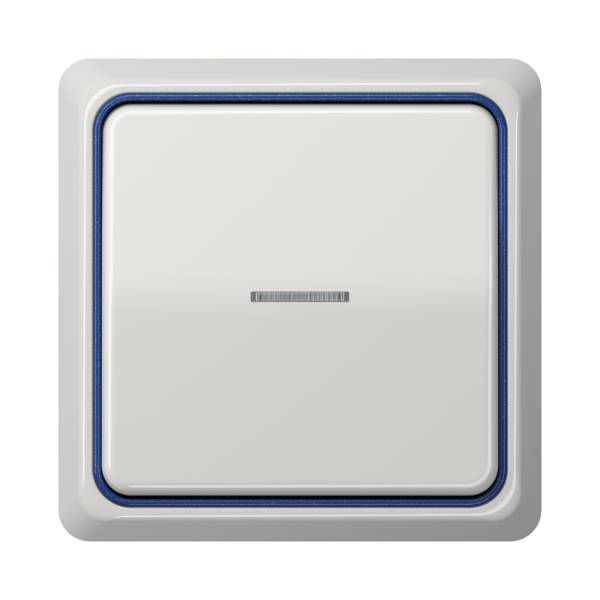 Jung CDP581LG Rahmen 1-fach, senkrechte und waagerechte Montage, Duroplast, CD PLUS, lichtgrau