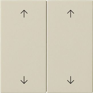 Gira 538701 Wippe 2-fach Pfeile, System 55, cremeweiß