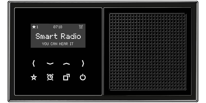 Jung DABLS1SW Smart Radio DAB+, Set Mono, Serie LS, schwarz