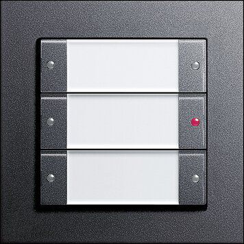 Gira 213328 Wippenset 3-fach mit Beschriftungsfeld, System 55, Klar/anthrazit