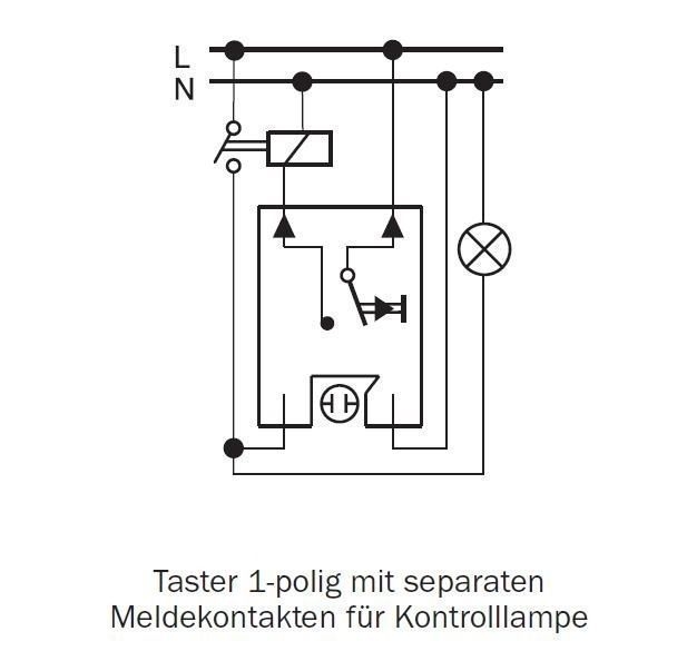 Merten MEG3154-8029 Taster mit separatem Meldekontakt, Schließer 1-polig, AQUASTAR, lichtgrau