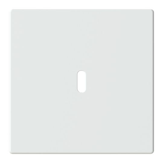 Busch-Jaeger 6479-884 Zentralscheibe für USB Ladestation 1-fach mit USB-C-Anschluss, Plattform 63, studioweiß matt