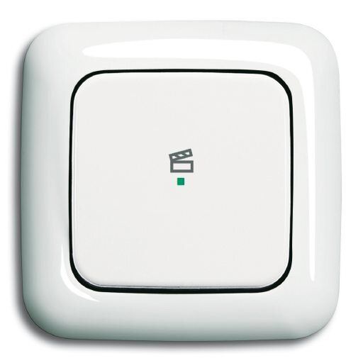 Busch-Jaeger 6233-10-214 Wippe 1-fach mit Symbol Szene