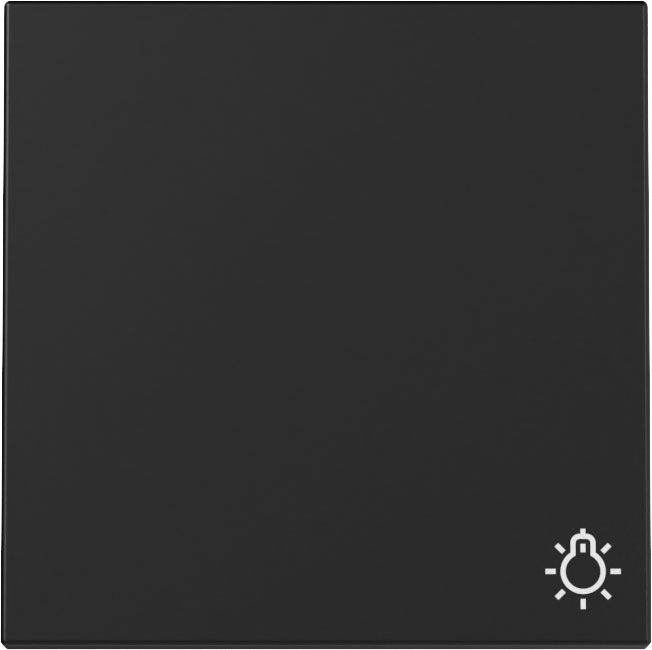 Gira 3285005 Wippe Symbol "Licht", System 55, schwarz matt