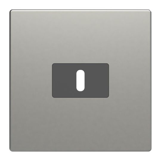 Busch-Jaeger 6479-866 Zentralscheibe für USB Ladestation 1-fach mit USB-C-Anschluss, pur Edelstahl, edelstahl matt