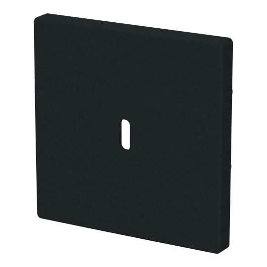 Busch-Jaeger 6479-885 Zentralscheibe für USB Ladestation 1-fach mit USB-C-Anschluss, Plattform 63, schwarz matt