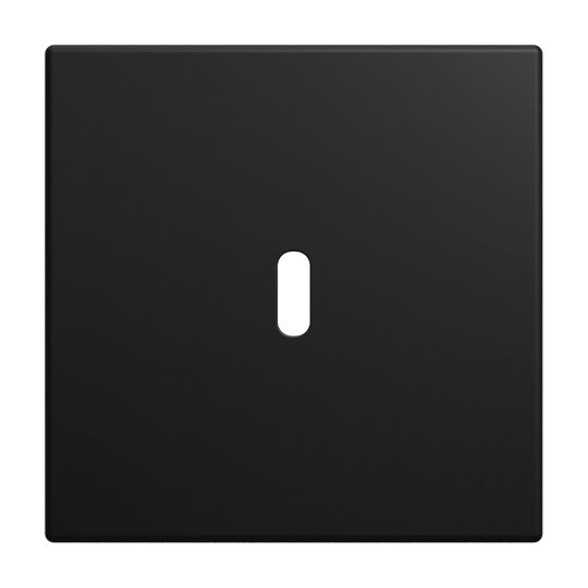 Busch-Jaeger 6479-915 Zentralscheibe für USB Ladestation 1-fach mit USB-C-Anschluss, Busch-balance SI, schwarz matt